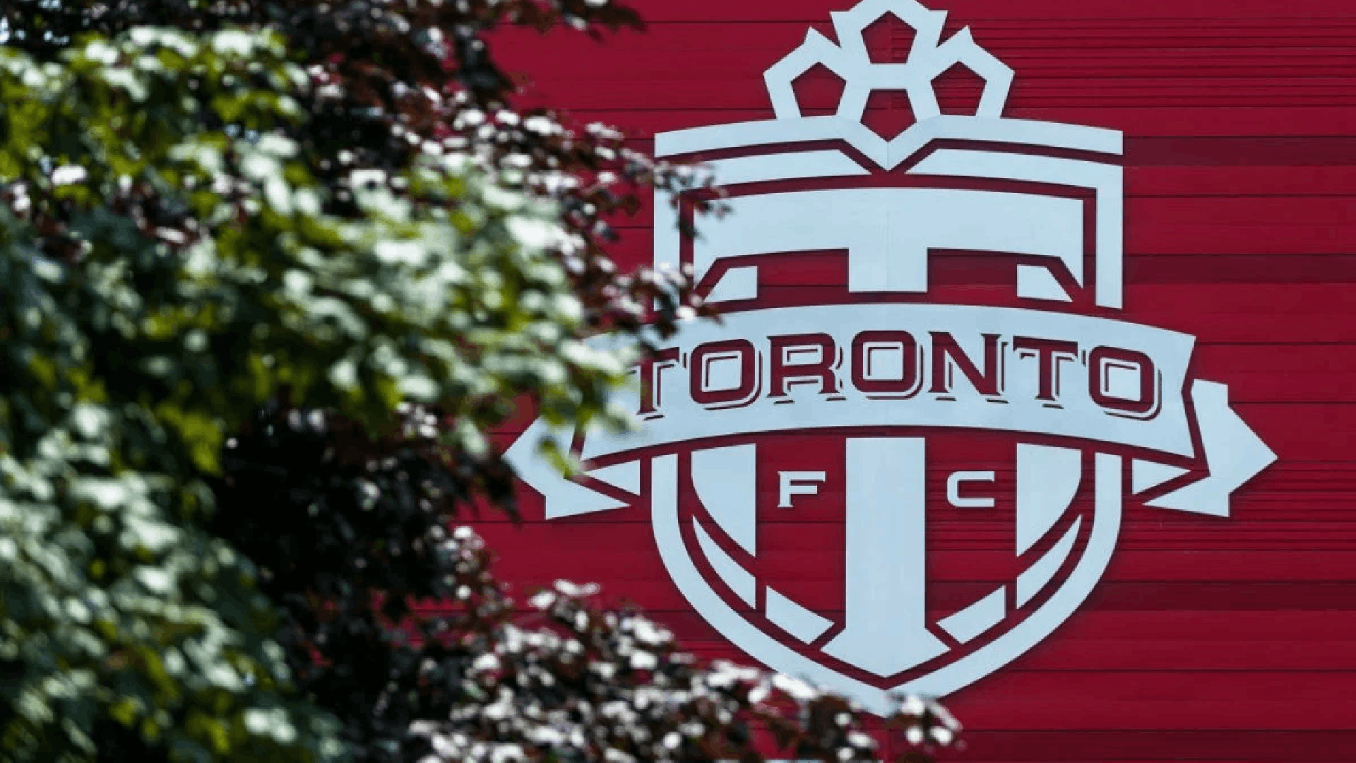 Toronto FC and Toronto Argos Announces Partnership With Betty Casino
